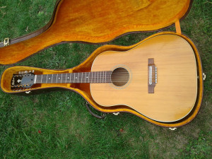 Hofner 12string, Bj. `64, Serial Nr. 2